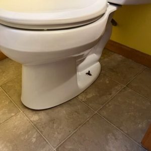 Toilet Subfloor Repair in Phoenix